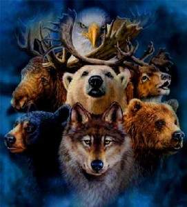 Learn How To Work With Animal Totems, Spirit Animals and Power Animals.