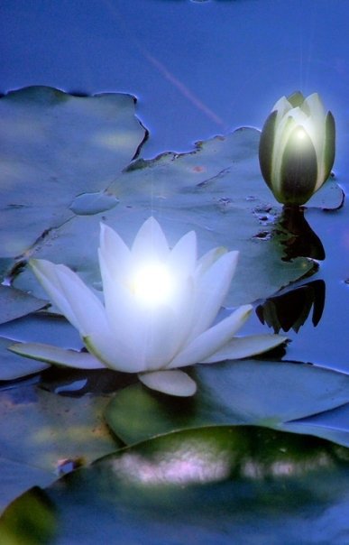 Energy Update For Monday, November 24, 2025 by Claudia McNeely